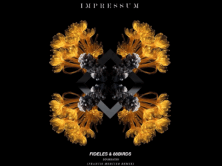 Fideles & 88Birds - 10 Breaths (Francis Mercier Remix)